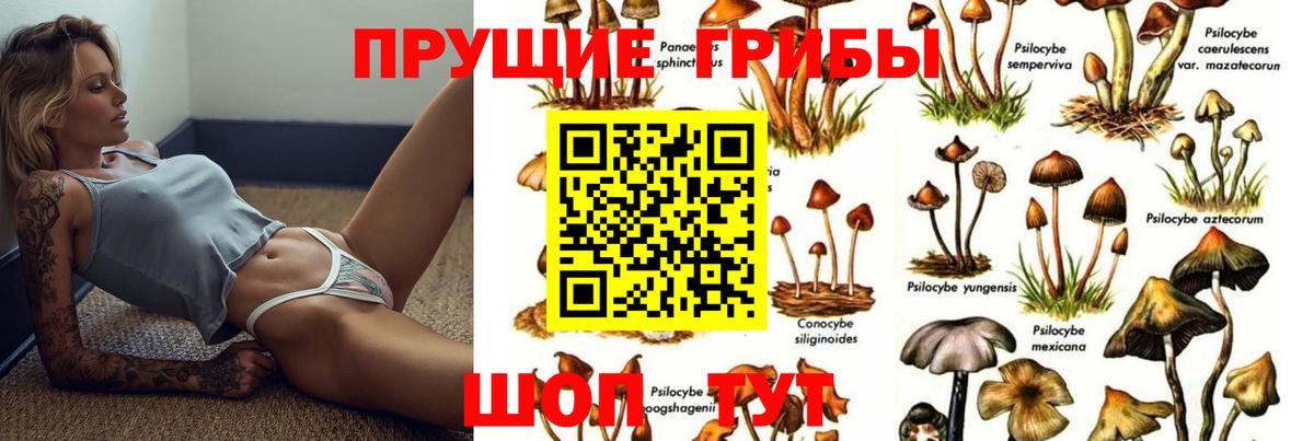 Псилоцибиновые грибы мицелий  Вход с VPN  Крымск 