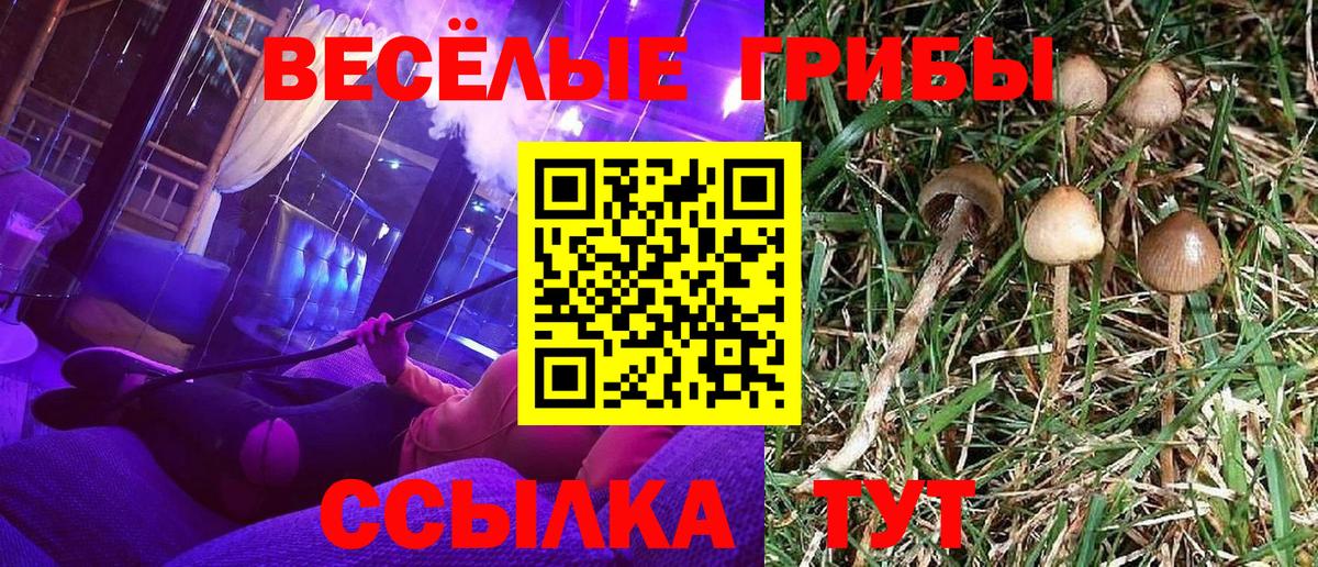 Псилоцибиновые грибы мицелий Крымск